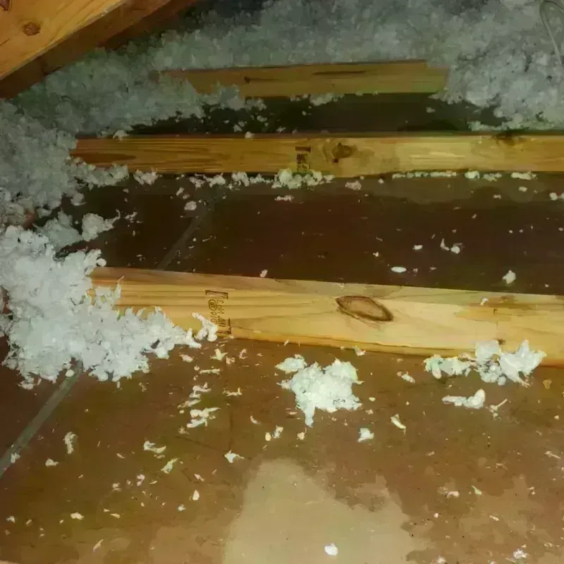 Attic Water Damage in Queen City, TX