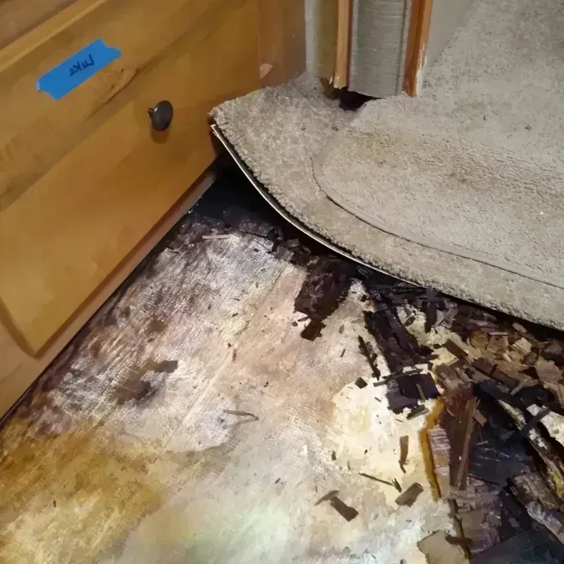 Wood Floor Water Damage in Queen City, TX